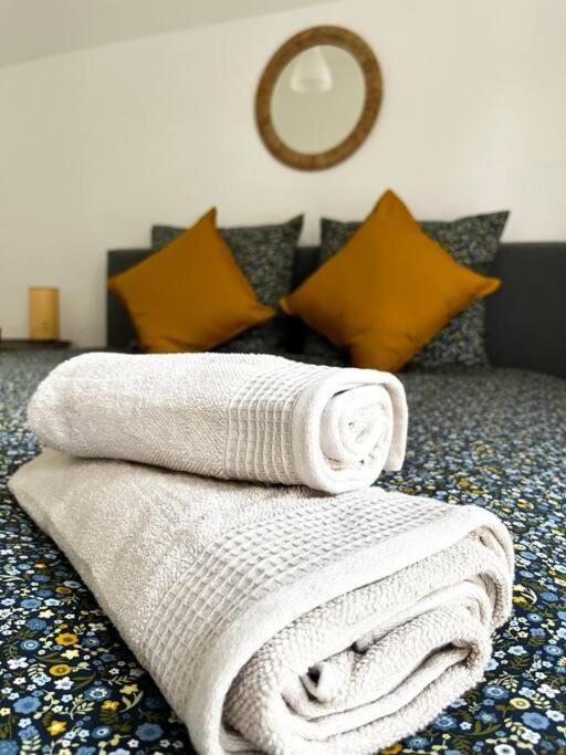 Cocon D'Alsace Apartment Colmar Luaran gambar