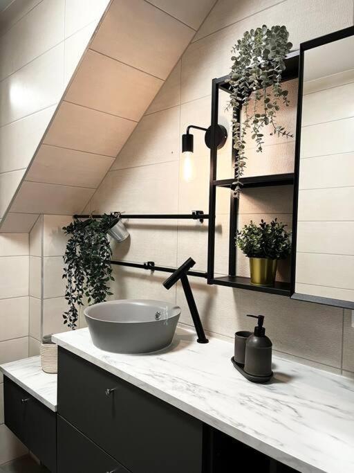 Cocon D'Alsace Apartment Colmar Luaran gambar